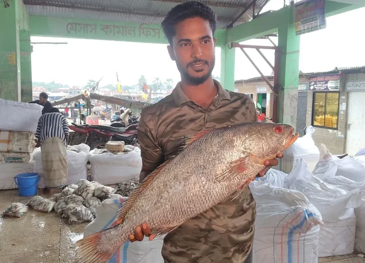 PATUAKHALIPoa-Fish