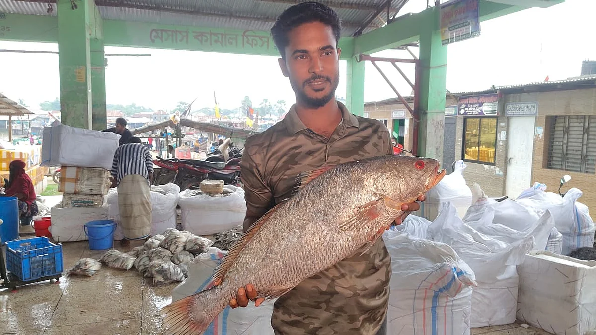 PATUAKHALIPoa-Fish