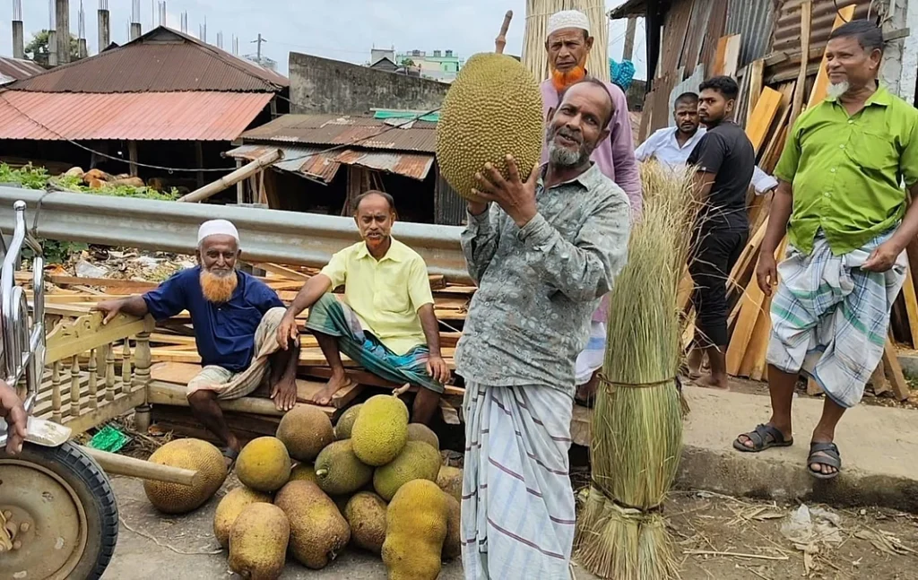SREEPUR-JACKFRUIT-1