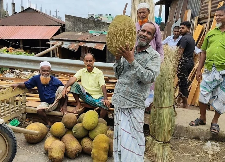 SREEPUR-JACKFRUIT-1