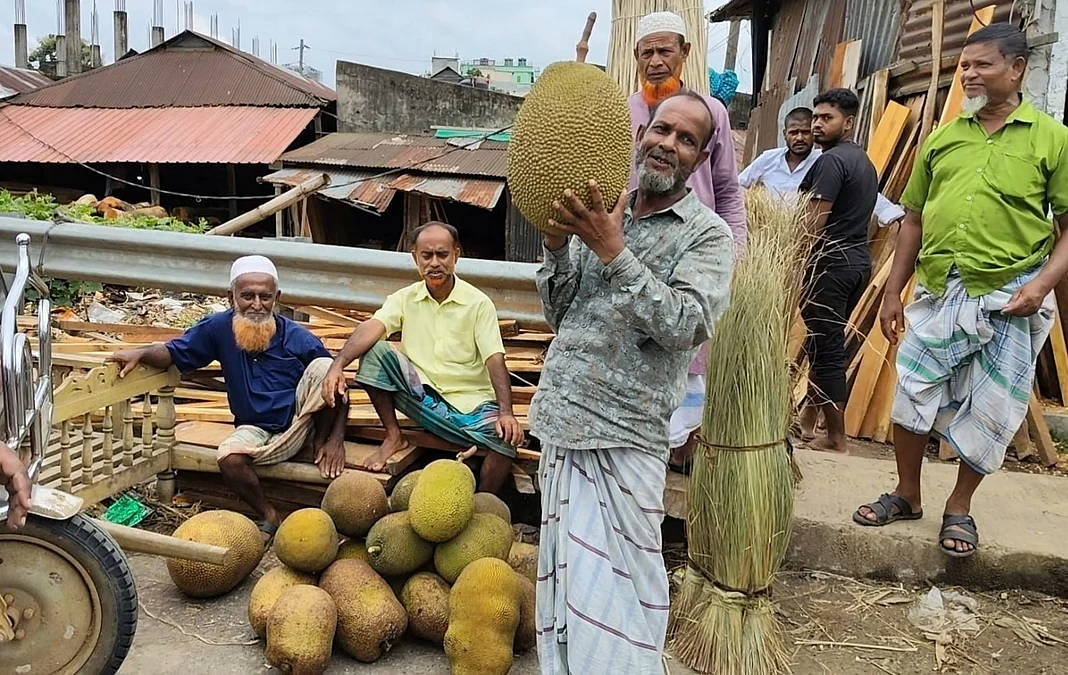 SREEPUR-JACKFRUIT-1