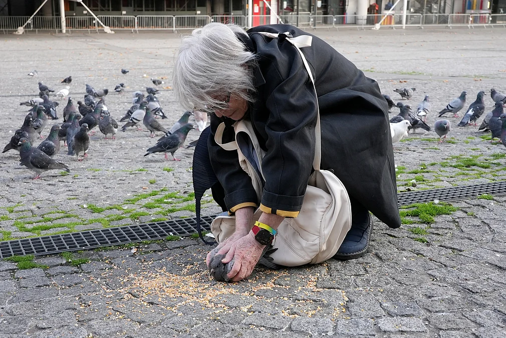 1-pigeons-and-humans-together-reuters-21052026