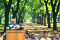 গঙ্গা ও অন্য নদীগুলোর পানির হিস্যা নিশ্চিত করতে হবে: মির্জা ফখরুল