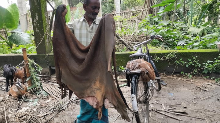 আগ্রহ নেই পাইকারদের, চামড়া কিনে বিপাকে গাইবান্ধার ক্ষুদ্র ব্যবসায়ীরা