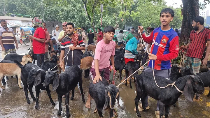 ছাগল কিনলেই হাজার টাকা ‘চাঁদা’, ভাগ পাওয়ার দাবি নাকচ পুলিশের