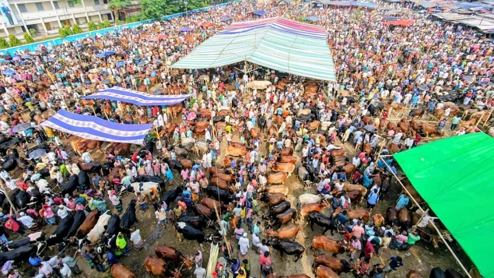 উত্তরবঙ্গের মহাস্থান কোরবানির পশুর হাটে হাসিলের নামে চাঁদাবাজির অভিযোগ