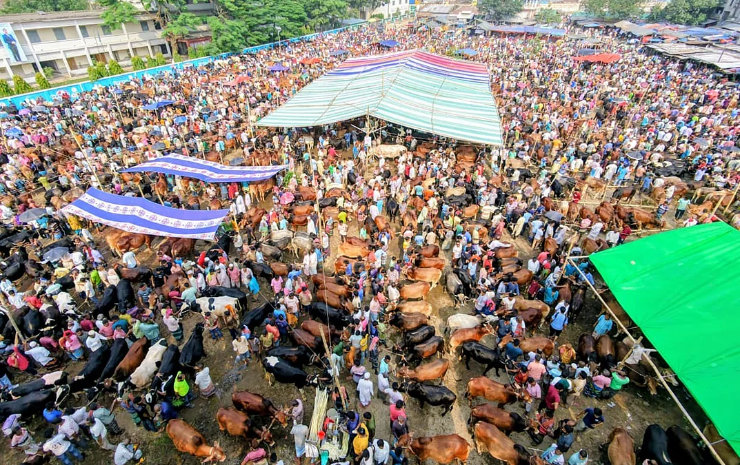 BoguraDH049320260520Bogura-Animal-market-17