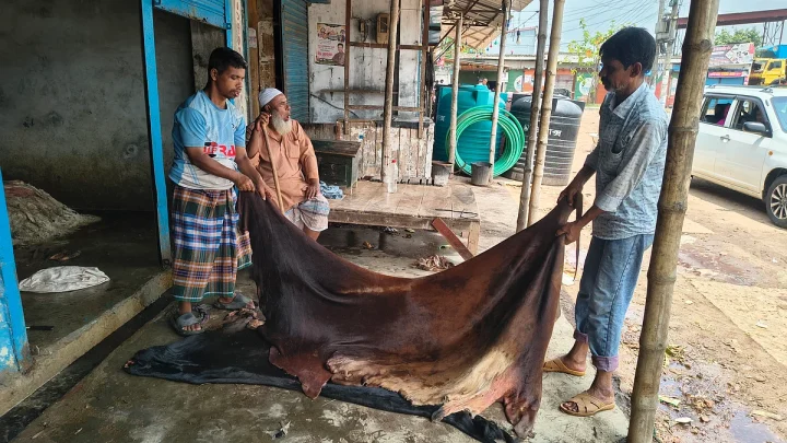 যশোরের রাজারহাট মোকামে চামড়ার ‘দাম পাচ্ছেন না’ বিক্রেতারা