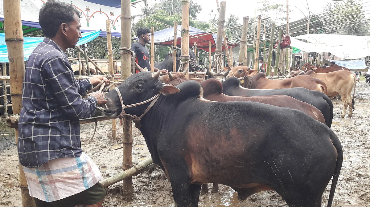 Moulavibazar00