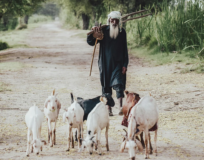 Qurbani-3