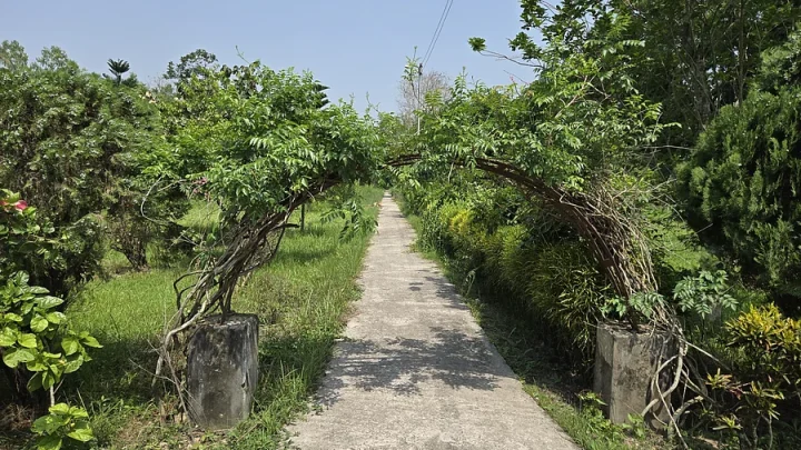 রক্ষণাবেক্ষণের অভাবে ঝুঁকিতে জীববৈচিত্র্যের উন্মুক্ত ভান্ডার
