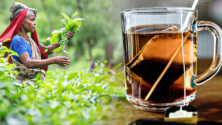 এক কাপ চায়ে হাজার বছরের গল্প