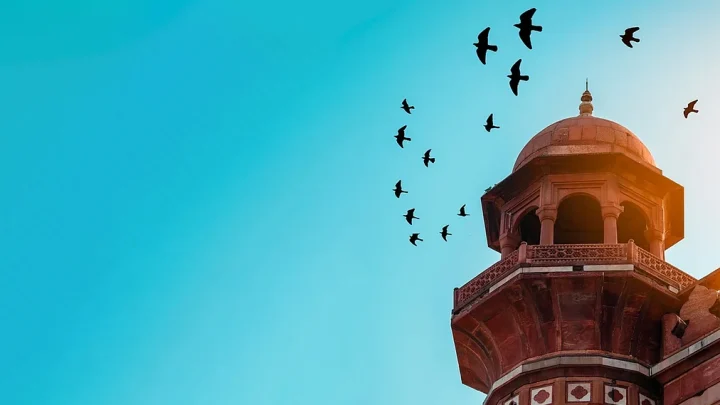 জিলহজের প্রথম দশকে বিশেষ ৫ আমল