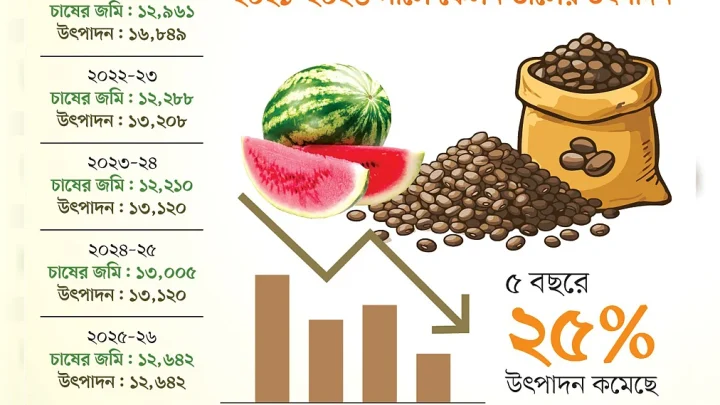 ফেলন ছেড়ে তরমুজ চাষে কেন ঝুঁকছেন চট্টগ্রামের কৃষকেরা