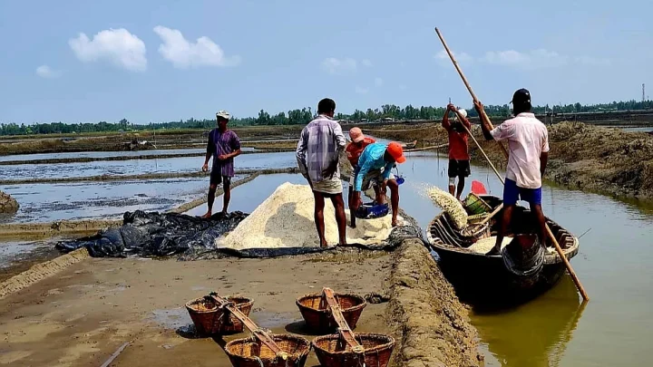 উৎপাদন কমেছে, বেড়েছে খরচ, কক্সবাজারের ৪২ হাজার লবণচাষি বিপাকে