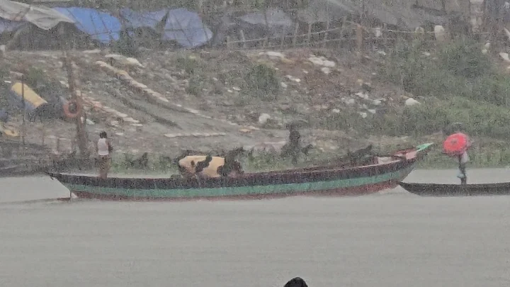 ঝড়বৃষ্টির মধ্যেই ট্রলারে গরু পারাপার সদরঘাটে