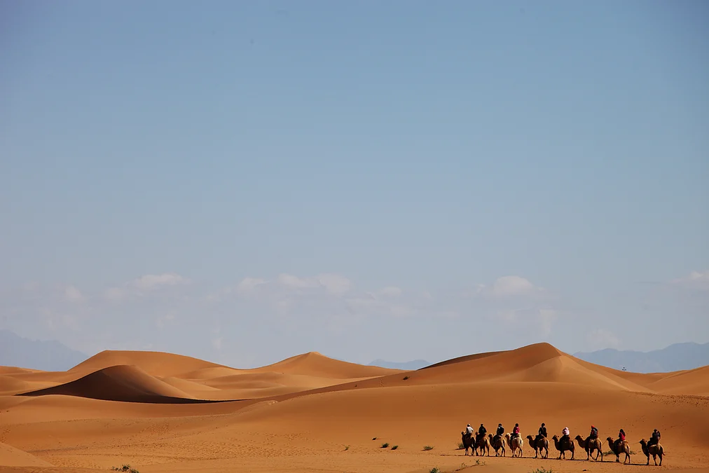 camel-caravan-desert-xinjiang-china
