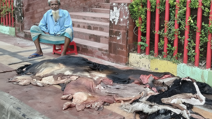 দাম কম পেলে কি কোরবানির চামড়া নষ্ট করা বৈধ হবে