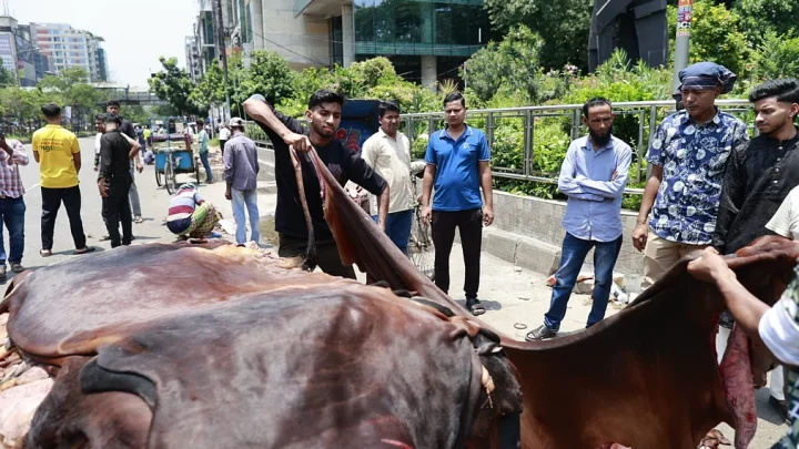 কোরবানির বর্জ্য ৮ ঘণ্টার মধ্যে সরাতে চায় ঢাকা দক্ষিণ, উত্তর ১২ ঘণ্টার আগেই