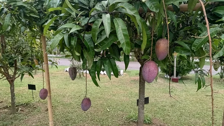 পাহাড়ের কোলে, যেখানে ২০ জন একসঙ্গে