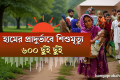 ১২ কেজি এলপিজির দাম কমল ৫৫ টাকা | ব্যাটারিচালিত রিকশা মহানগর এলাকার বাইরে নেওয়ার চিন্তাভাবনা চলছে