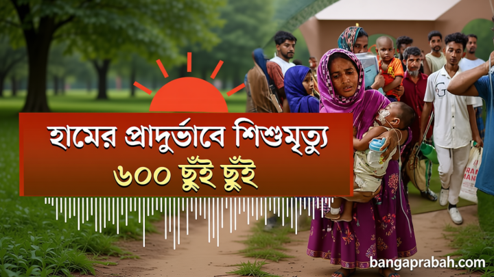 ১২ কেজি এলপিজির দাম কমল ৫৫ টাকা | ব্যাটারিচালিত রিকশা মহানগর এলাকার বাইরে নেওয়ার চিন্তাভাবনা চলছে