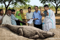 কুমিরের আক্রমণে শিশুর মৃত্যুর পর মানসিক ভারসাম্যহীন মাকে খুঁজে পেল পরিবার