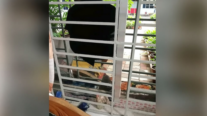 হান্নান মাসউদের বিরুদ্ধে ‘কোটি টাকা ডিলের’ অভিযোগ তোলা ছাত্রদল নেতার বাড়িতে হামলা