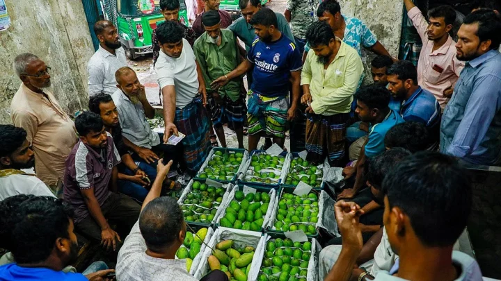 বাজারে আসছে ট্রাকভর্তি আম, হিমসাগর, ল্যাংড়া, রুপালি —কোনটির কেমন দাম