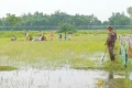 ‘পুশ ইন’ ঠেকাতে সীমান্তে ৬০ হাজার বিজিবি সদস্য