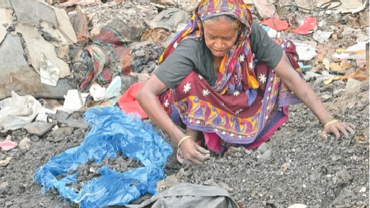 পোড়া ঘরের কয়লাই এখন আনোয়ারার আয়ের উৎস