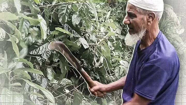 এক যুগ ধরে স্বেচ্ছায় গ্রাম পরিষ্কার করেন ৭২ বয়সী নাসির