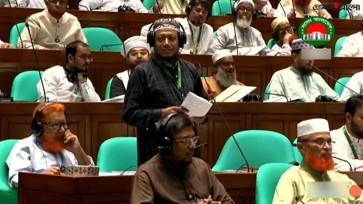 লালনের মাজার এলাকা ‘মাদকমুক্ত’ করার উদ্যোগ আছে কি, সংসদে প্রশ্ন আমির হামজার