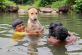 ঢাকায় এই মেঘ এই রোদ, বৃষ্টি হবে?