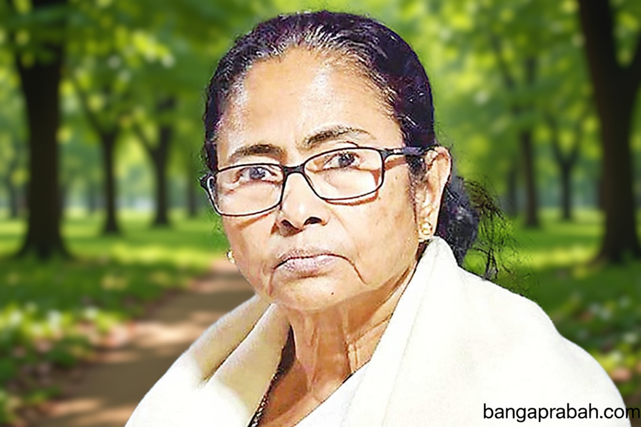 বাংলাদেশে কাকে দিয়ে খুন করিয়েছিলেন, সবটাই জানি: ভারতের স্বরাষ্ট্রমন্ত্রীর উদ্দেশে মমতা