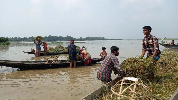 বাঁধের ‘ব্যবসায়’ ডুবছে হাওর, পানি নামার পথের বাধা নিয়ে দুশ্চিন্তা
