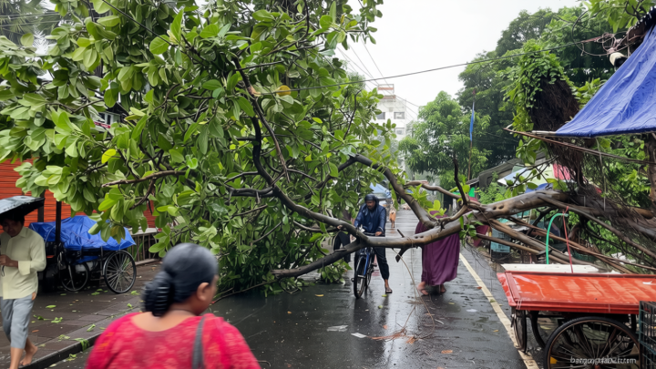 চট্টগ্রামে ঝড়ের তাণ্ডব: সড়কে গাছ, দুর্ভোগে নগরবাসী