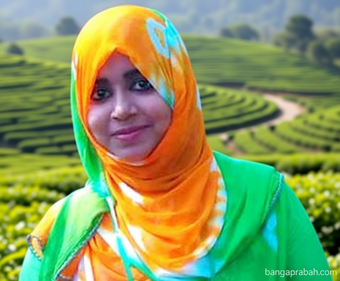 তনু হত্যা মামলায় সাবেক সেনাসদস্যসহ আরও দুজনের ডিএনএ পরীক্ষার নির্দেশ