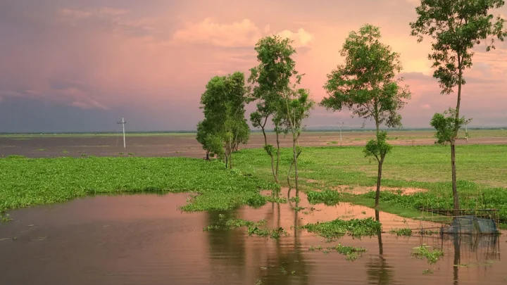 বর্ষায় জলের ক্যানভাসে কাউয়াদীঘি হাওর