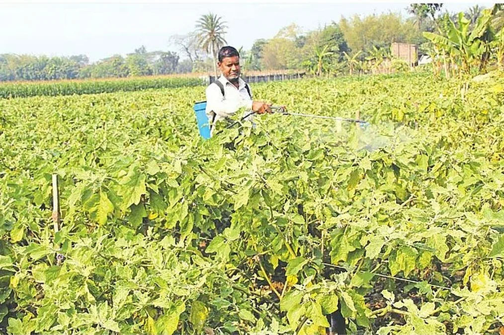 1-pesticides-on-the-farmers-land-file-palo