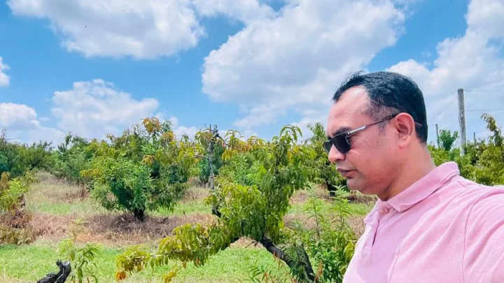 ফলের স্বর্গে একদিন: অস্ট্রেলিয়ার ক্যানোল্যান্ডস অর্চার্ডে অবিস্মরণীয় ভ্রমণ