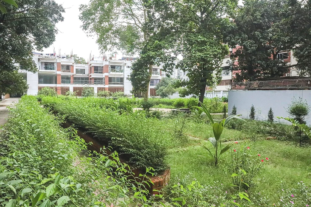 Dhaka-Wasa-01