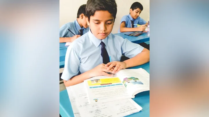 প্রাথমিক বৃত্তি পরীক্ষা ২০২৬। বাংলাদেশ ও বিশ্বপরিচয়: নবায়নযোগ্য শক্তির ব্যবহার বাড়ানো উচিত