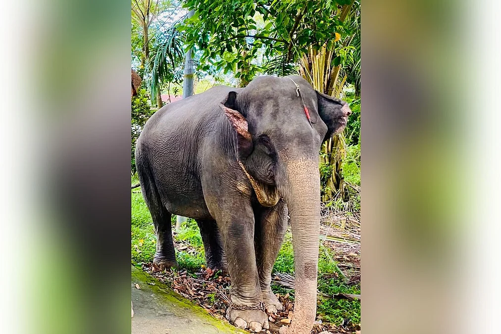 WhatsApp-Image-2026-08-07-at-2.07.19-PM-1