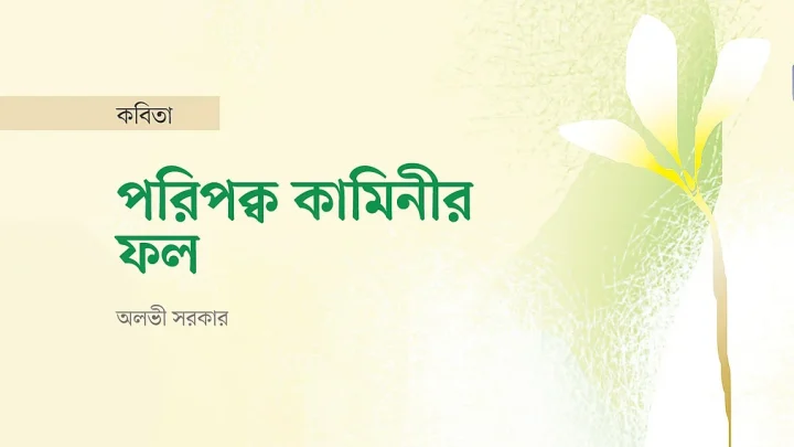 পরিপক্ব কামিনীর ফল