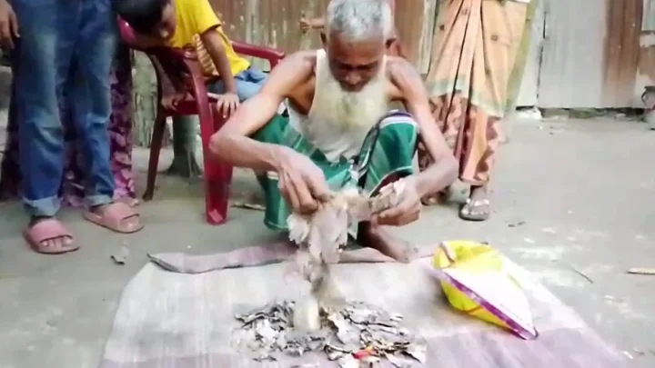 জমানো দুই লাখ টাকা কেটে খেল ইঁদুর-উইপোকা, কৃষকের আহাজারি