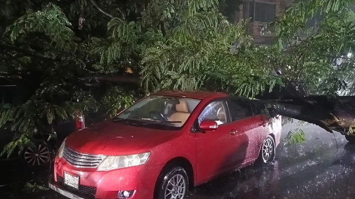 বৃষ্টিতে ধানমন্ডির সড়কে উপড়ে পড়ল গাছ, তিনটি গাড়ি ক্ষতিগ্রস্ত