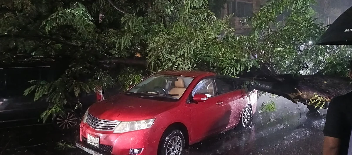 cardamaged