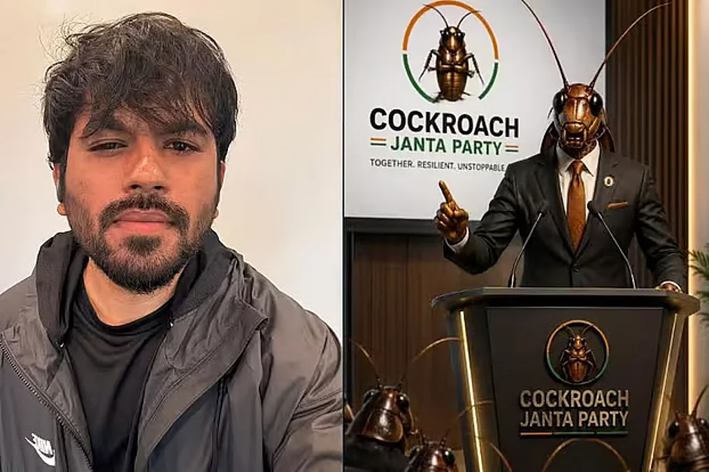 cockroach-party