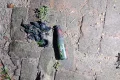 কাপাসিয়ায় গভীর রাতে যুবদল নেতার বাড়িতে পেট্রলবোমা হামলা, ‘বড় দুর্ঘটনা’ থেকে রক্ষা